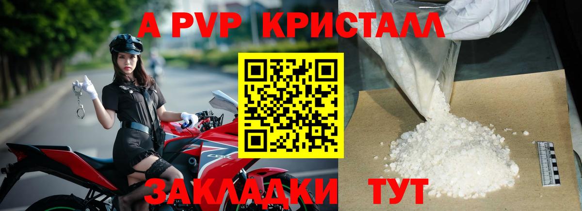 APVP СК Красногорск
