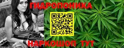 a pvp Краснознаменск