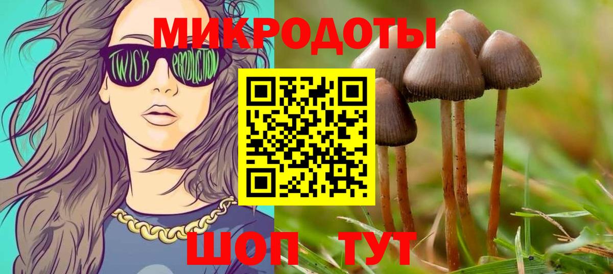Псилоцибиновые грибы мухоморы  Вход с VPN  Красногорск 